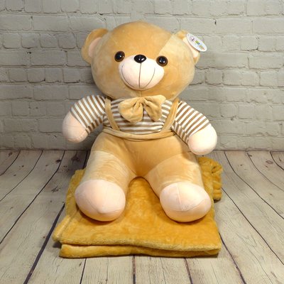 Плюшевий Ведмідь із пледом 100x140см Colorful Home бежевий, Поліестер 100%, 43х40см, плюш, Іграшка + плед