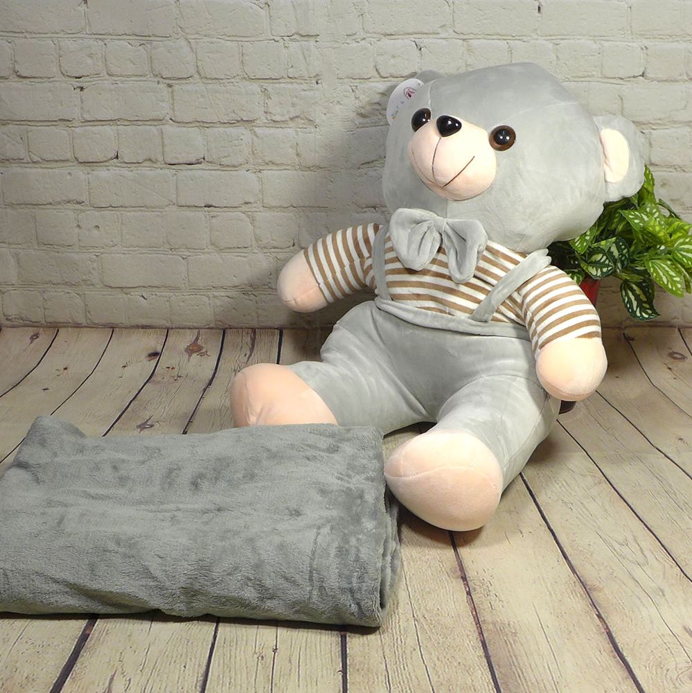 Плюшевий Ведмідь із пледом 100x140см Colorful Home сірий, Поліестер 100%, 43х40см, плюш, Іграшка + плед