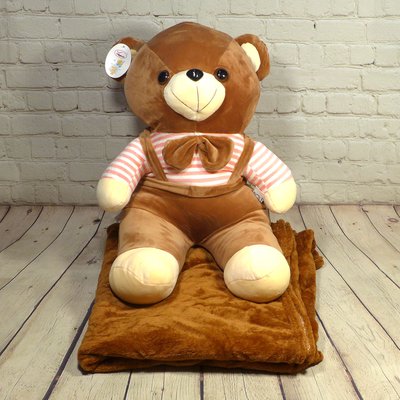 Плюшевый Медведь с пледом 100x140см Colorful Home коричневый, Полиэстер 100%, 43х40см, плюш, Игрушка + плед