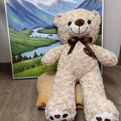 Плюшевий Ведмідь із пледом 100x160см Colorful Home бежевий, Поліестер 100%, 30х70 см, плюш, Іграшка + плед