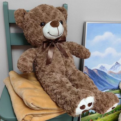 Плюшевый Медведь с пледом 100x160см Colorful Home коричневый, Полиэстер 100%, 30х70 см, плюш, Игрушка + плед