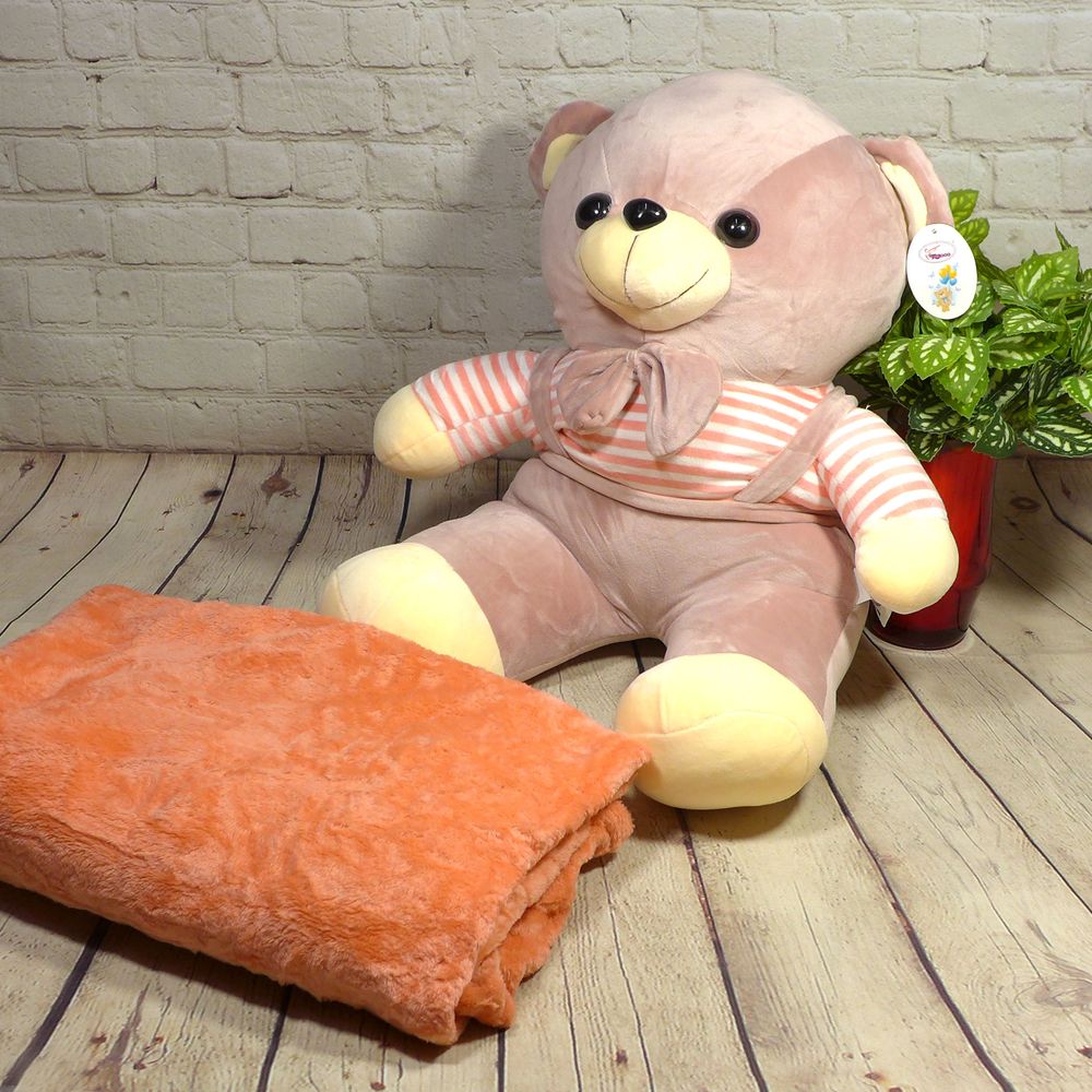 Плюшевый Медведь с пледом 100x140см Colorful Home лиловый, Полиэстер 100%, 43х40см, плюш, Игрушка + плед